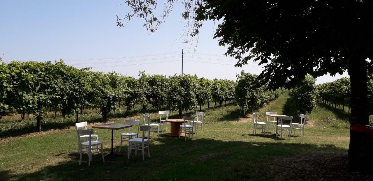 Agriturismo Vitae Fabbrico Exterior photo